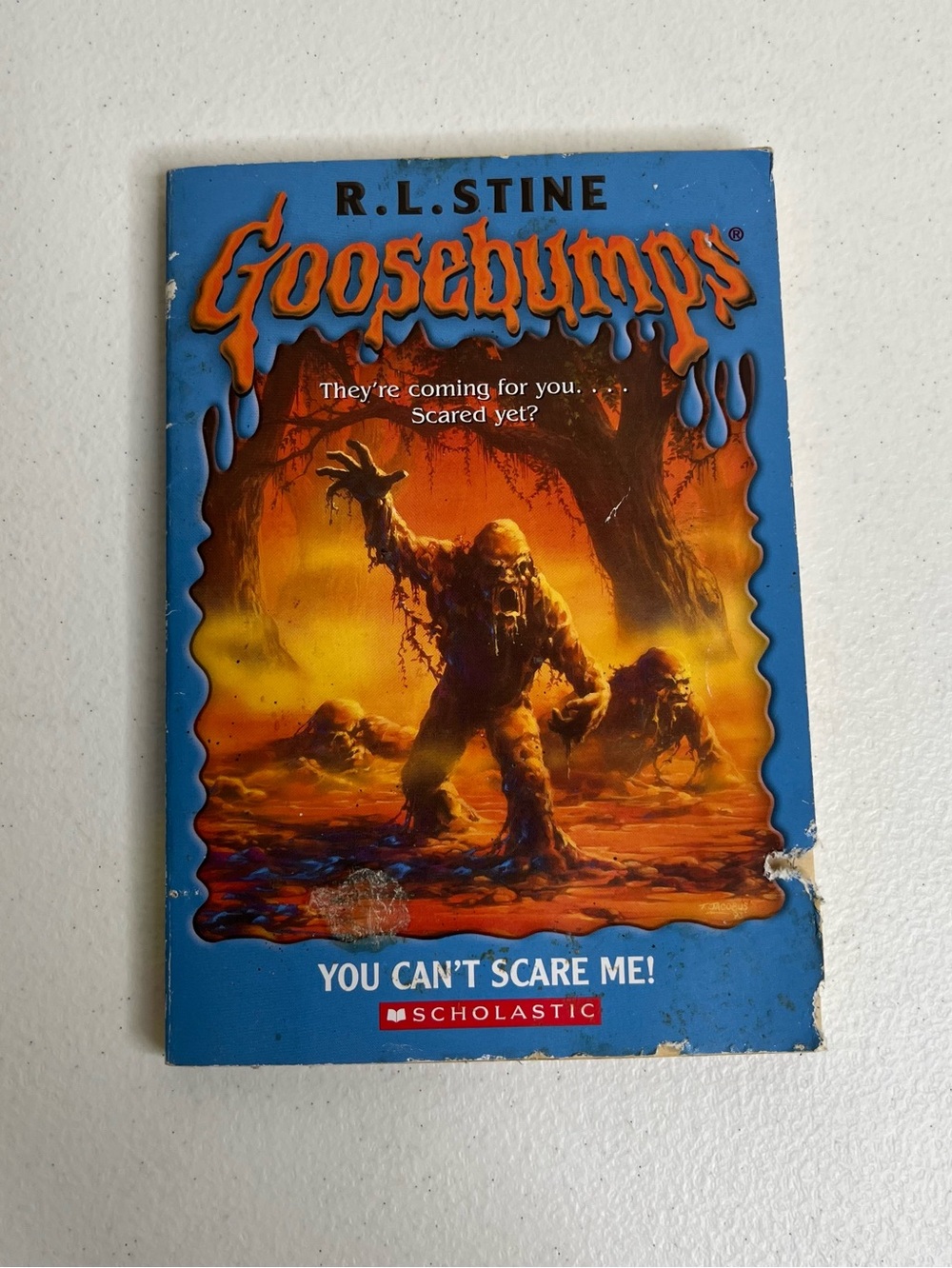 Goosebumps #15 You Can't Scare Me First Edition 1994 Paperback Book Original